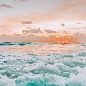 Meet your Posher, Avree